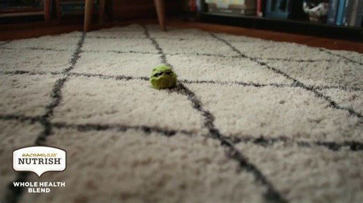 Rachael Ray Nutrish TV Spot, 'Tennis Ball'