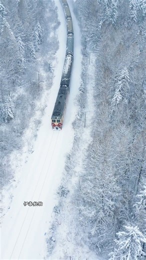 🌊 సముద్రం మీద పరుగెత్తే రైలు! నిజంగా ఉందా ఇది? 🚆