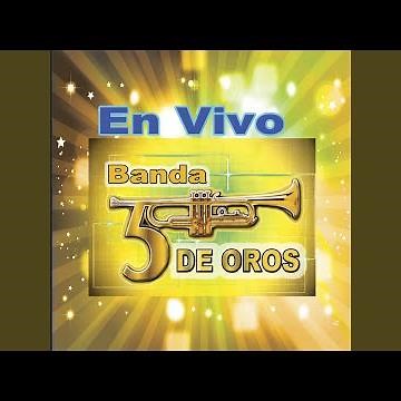 Chilena El gusto (En Vivo)