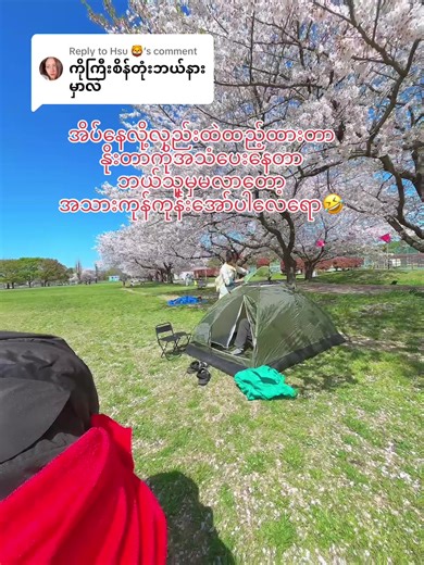 လှည်းထဲပျော်ရွှင်စရာအိပ်နေမှု