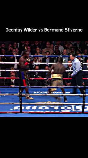 Deontay Wilder vs Bermane Stiverne Boxing Match Highlights