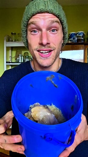 Frank Lieber on Instagram: "Gestern gefilmt, danach mehr gefurzt, heute einmal bissle Durchfall gehabt 🤔 Hier kannste halt auch wieder in beide Richtungen interpretieren. Wars jetzt giftig? Wars ne Reinigung/Heilung, die passiert ist? Auf jeden Fall hatte ich sonst keine Symptome, fühle mich topfit und hab nach der Flitzekacke mies Bock gehabt zu trainieren....Gott sei dank bleibst spannend, ehrlich gesagt macht diese Schnitzeljagd auch zu viel Spaß um bald vorbei zu sein 🙃"