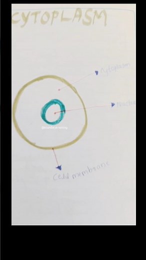 Easy diagram of cytoplasm #anatomy #physiology #neet #biology #soundaryanursing