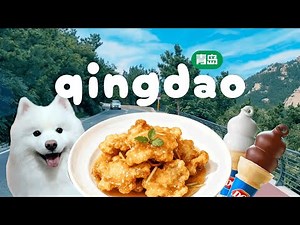 현지인이 추천하는 중국 칭다오 로컬 맛집 ep.3 🇨🇳진짜 중국 꿔바로우·양꼬치&칭다오 맥주·중국 귀청소·라오산 드라이브