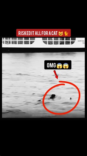 He Risked His Life to Save a Trapped Cat 🐱💔 #realhero #respect #livingheroes #viralvideo #shorts