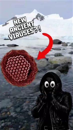 Ancient Organisms Beneath Arctic Ice Are Waking Up #Arctic #AncientParasites #FrozenInTime