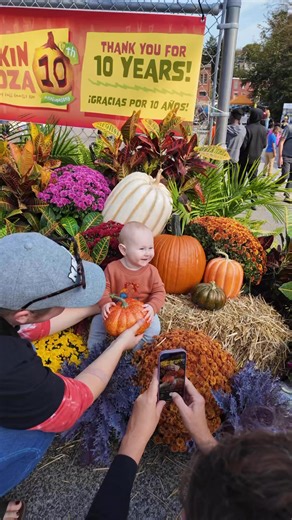 Pumpkin Palooza is BACK!🎃🎊 Join us Sunday, Oct. 12, 11am–3pm for an admission-free, all-ages fall festival filled with:🍂 Hundreds of hand-blown glass pumpkins🎶 Live music by Tequila Mockingbird on the new Thorn Alley Stage🔪 Live pumpkin carving by Derek Weidman🎨 Interactive art activities & memory-making fun! Thank you to our sponsor Dolan Construction! We can’t wait to see you there! | Goggleworks Center for the Arts