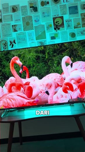 Perbedaan Android TV dan Google TV #polytron #PolytronAUVI #RasakanSensasiSuaranya #TVPolytron