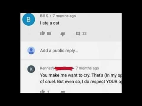 I ate a cat