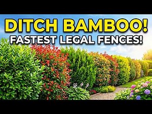 10 Fast-Growing Fences That Are Actually Legal (Better Than Bamboo!) 😱