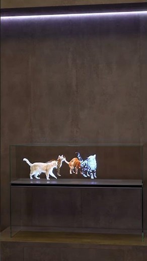 2025 CES – Transparent MICRO LED | Samsung