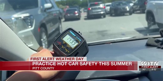 Practice Hot Car Safety