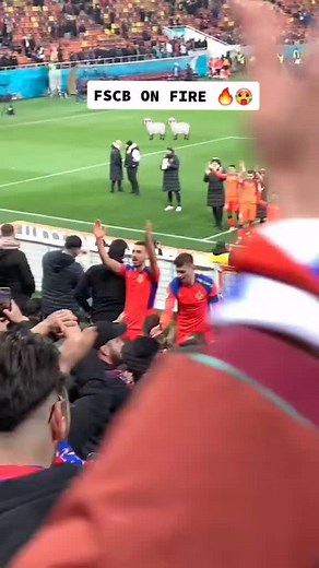 Rapid București Fan club sur TikTok