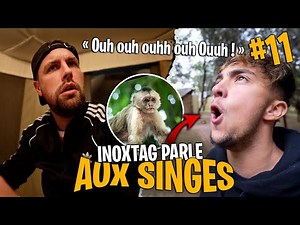 Inoxtag parle aux singes pour les attirer #11