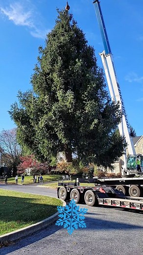 Follow the journey of the Bethlehem, Pennsylvania Christmas Tree, generously donated by the Simoes family, and join us for the Christmas Tree Lighting at 5 p.m. on November 28 at Payrow Plaza! Thank you to all of the departments who make this yearly tree journey possible. Learn more about the Simoes Family from Bethlehem Township: https://www.lehighvalleynews.com/bethlehem/familys-tree-to-help-bethlehem-celebrate-christmas #lehighvalley #christmascityusa #bethlehem | City of Bethlehem