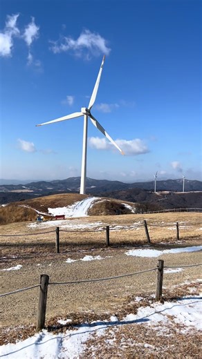 #평창#대관령#하늘목장#강원도여행