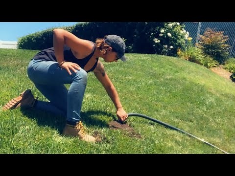 Gopher gassing tutorial