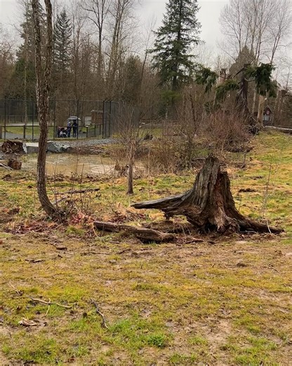 Greater Vancouver Zoo on Reels