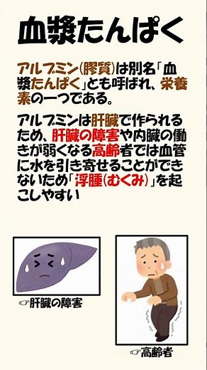 アルブミンと膠質浸透圧#理学療法士国家試験 #作業療法士国家試験 #生理学