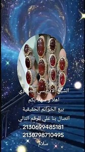 13 مارس 2026