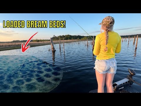 We Found a BIG SURPRISE Fishing in this NEW LAKE! — (It’s Loaded With Biggins!!!) 