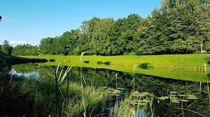 What is a Riparian Buffer Zone?