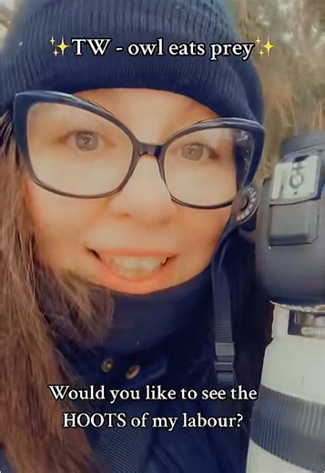 This owl is about to show you a biological flex. Small owl. Big prey. Bigger pellet. This is the largest owl-to-pellet ratio I have personally witnessed, and I have been emotionally changed by it. Watch until she uses her talons to yank out her pellet. #OwlPellet #NatureIsWild #BorealOwl #HootsOfMyLabor