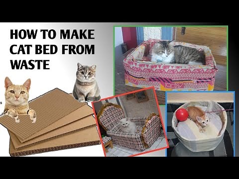 How to make cat bed with cardboard at home/Diy cat bed 🛌 Best out of waste recycling