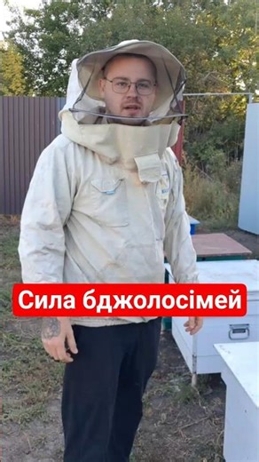 They started forming bee colonies in the winter, the strength of bee colonies