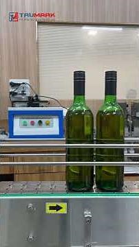 Wine Bottles Filling & Capping Machine | Built for Speed, Precision & Versatility
