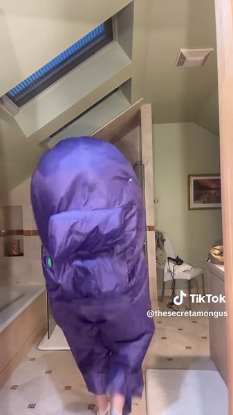 thesecretamongus (@thesecretamongus)’s videos with original sound - ross germanii