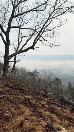 Exploring the Beauty of God's Creation through Excavation