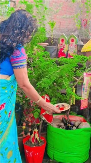 bhole ki arji 🙏🙏💐💐 #trendingshorts2025 #bhaktisong #bhole #shortvideo