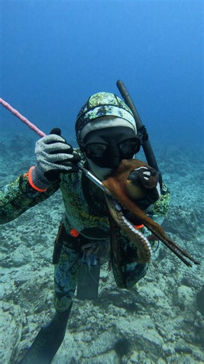 How We Catch Octopus for Food! #spearfishing #fishing | Ryan Myers