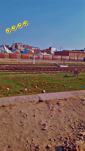 Exploring Gojra City: A Cultural Treasure