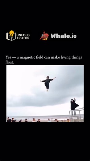 unfold.truths on Instagram: "“Yes — a magnetic field can make living things float.” A powerful electromagnet can create a non-uniform magnetic field, meaning its strength changes from place to place. In such a field, diamagnetic materials—substances that weakly repel magnetism—are pushed away from the strongest regions of the field. The human body is mostly water, and water is diamagnetic. When exposed to an extremely strong magnetic field, tiny opposing magnetic moments are induced inside body 