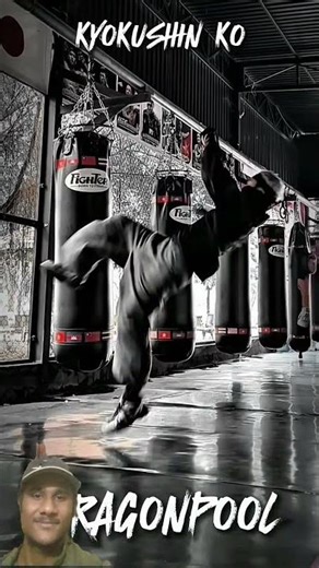 Kyokushin KO Technique 💥🥋 | Master This Power Move