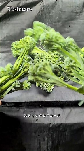 🥬If you know this, you're a pro!💥【Clay pot rice with stick senor (stem broccoli)】A delicious vege...