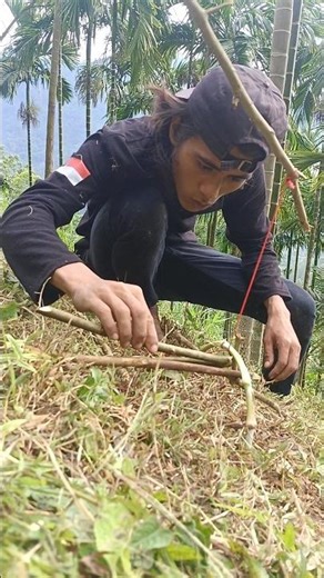 Survival bushcraft making Diy trap#creativesurvival #trap#squrrel