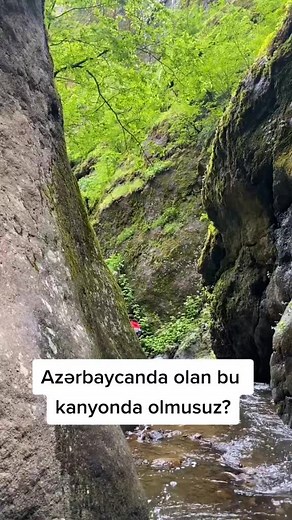 Nukha_Tour (@nukha_tour)’s videos with original sound - Nukha_Tour