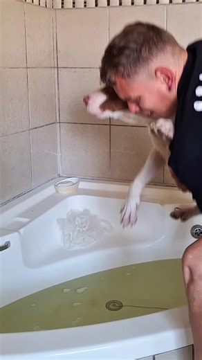 Pitty named Hades on TikTok