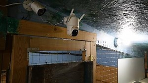 Watch Dzees D3 Wireless Security camera on Amazon Live