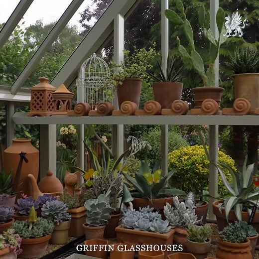 Maximising Greenhouse Growing Space with Shelving