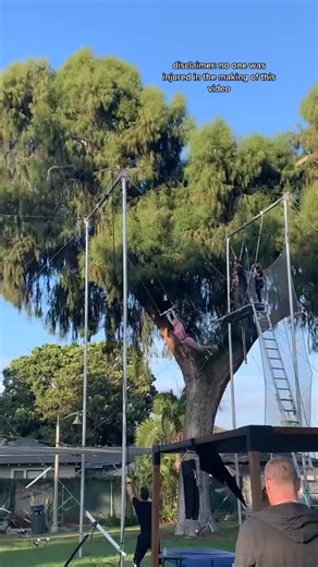 Santa Barbara Trapeze Co. on Instagram: "Step onto the rig for our Flying Trapeze Masterclass at Santa Barbara Trapeze Co. and experience advanced trapeze movement, clean technique, and the shared thrill of pushing just a little further. Think you’re ready for it? 👉 Join us at the rig register through the link in bio We’ll see you up there."