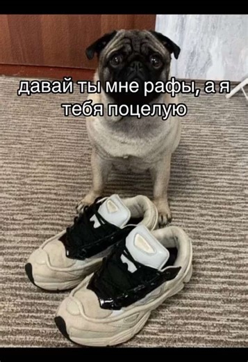 💋👅💋. #рафы #rafsimons #drip #fashion #brands