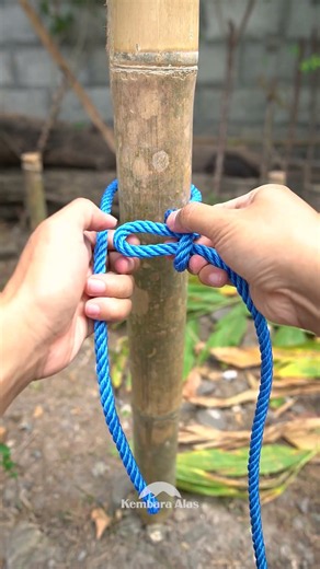 Bowline Knot: A Knot That Saves Lives ⚓