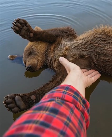 I pulled the small body of a bear cub out of the water, but what happened to me shortly after was a real shock 😱😱 As I was walking along a deep river, I noticed something strange on the surface. A little bear cub was floating there. My first thought was that the little one was just playing, swimming. But as I got closer, I realized: it wasn’t moving at all and was lying motionless on the water. — Probably drowned… — I muttered, reaching out my hand to pull it out. I carefully lifted it to the 