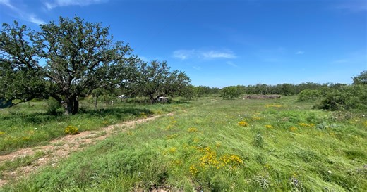 Texas ranch owners raffling off 76-acre ranch for less than the cost of a steak