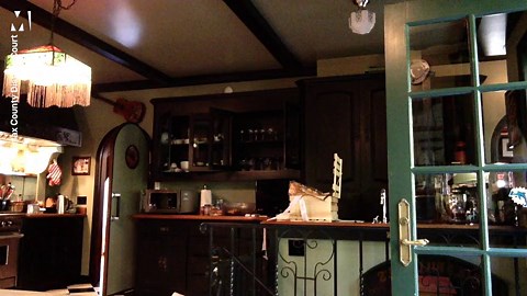 Video: Johnny Depp smashes up kitchen in drunken rage