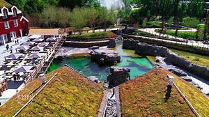 S'endormir dans le plus beau zoo d'Europe, se réveiller au milieu des ours et des loups, vivre une expérience unique au plus près de la faune sauvage ! | Pairi Daiza